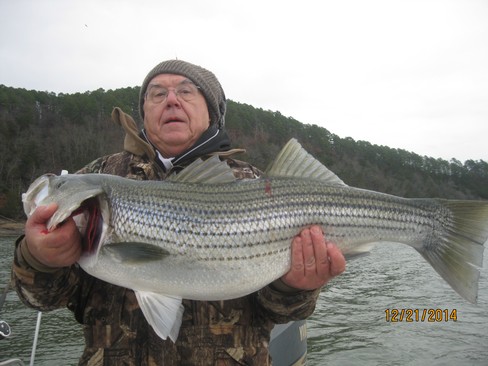 Nice Striped Bass